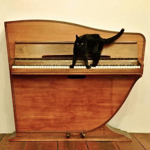 欧美日韩精品一区二区三区视频播放
