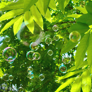 欧美日韩精品一区二区三区视频播放
